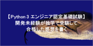 python 試験 合格 未経験 独学 感想