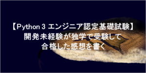 Python　独学 未経験 試験 合格 感想