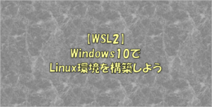 Winddows10 WSL2 install