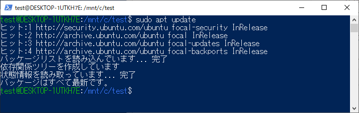 sudo apt update